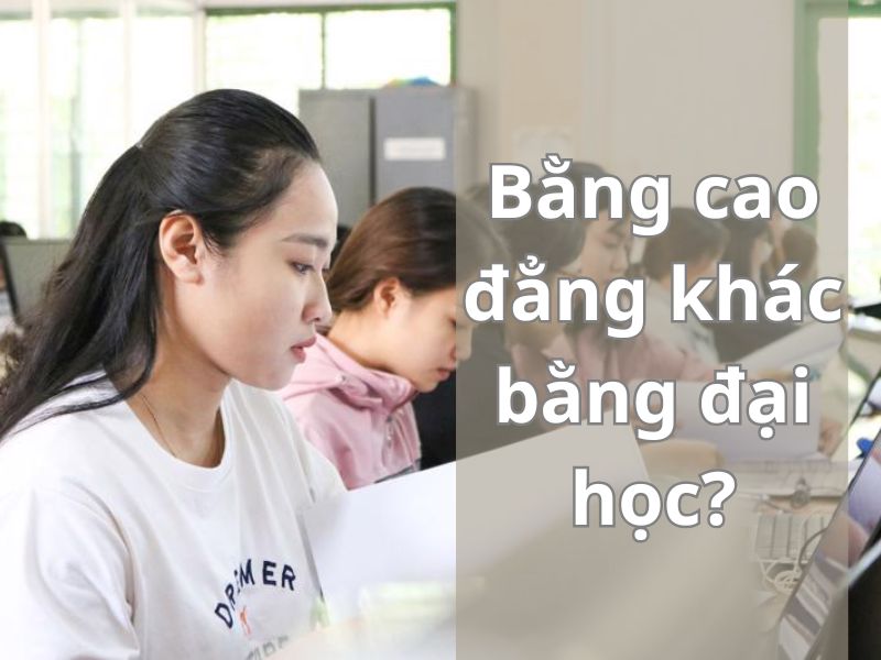 Bằng cao đẳng khác gì bằng đại học?
